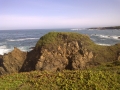 20110412-jah-00242-look-closely-for-goose-glass-beach-fort-bragg-jpg