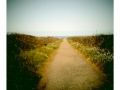 20110412-rls-002147483640-the-path-to-glass-beach-in-fort-bragg-jpg